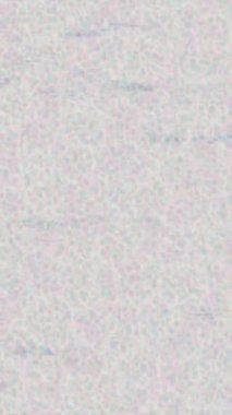 Lüks hareket tasarımı üst düzey video projeleri ve dijital sanat için zarif, pürüzsüz bir dokusu var.