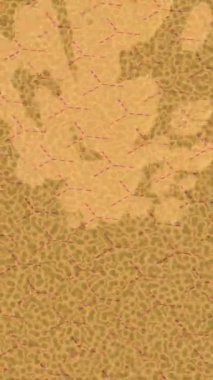 Modern medya üretimi için fütüristik dijital soyut doku sinematik tarz hareketli grafik ögesi