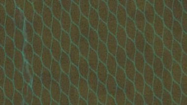 Benzersiz dijital animasyon tarzı grafikleri olan yaratıcı ortam tasarımı için yenilikçi hareket dokusu