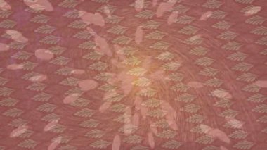 Estetik doku arkaplan tasarımı renkli hareket grafikleri ile moda film giriş profosyoneli