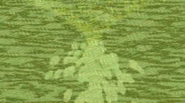 Benzersiz hareket grafikleri tasarım sanatına sahip yaratıcı film üretimi için özet bir arkaplan