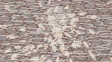 Benzersiz video giriş tasarımı projeleri için detaylı yüzey kalıbı film animasyon stili grafik girişi