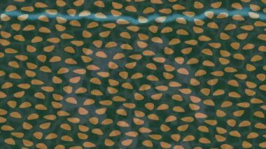 Benzersiz video giriş tasarımı projeleri için detaylı yüzey kalıbı film animasyon stili grafik girişi