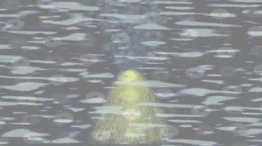 Yaratıcı video düzenleme film arkaplan tasarımı için minimalist organik hareket grafikleri