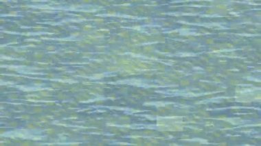 Benzersiz dijital hareket grafiklerine sahip yaratıcı sinematik projeler için yumuşak animasyon yüzeyi