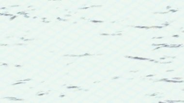 Lüks hareket tasarımı üst düzey video projeleri ve dijital sanat için zarif, pürüzsüz bir dokusu var.