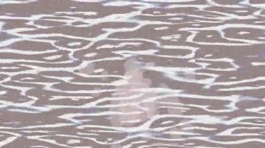 Lüks hareket projeleri için soyut tasarım stili animasyonu olan üst düzey dijital doku