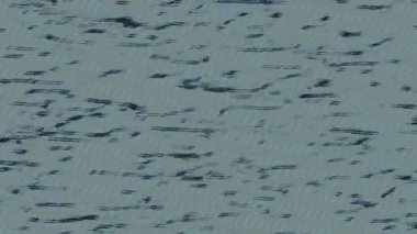 Lüks hareket projeleri için soyut tasarım stili animasyonu olan üst düzey dijital doku