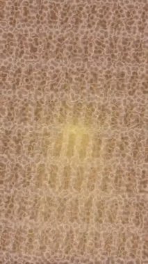 Benzersiz dijital hareket grafiklerine sahip yaratıcı sinematik projeler için yumuşak animasyon yüzeyi