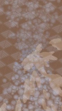 Lüks hareket tasarımı üst düzey video projeleri ve dijital sanat için zarif, pürüzsüz bir dokusu var.