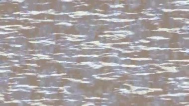 Dijital doku yüzey tasarım biçimi ile modern video animasyonu için gelişmiş hareket grafikleri