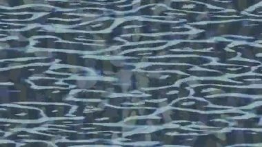 Organik desenli yüzey giriş stili video film sanatı ile soyut arkaplan tasarımı