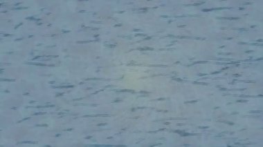 Benzersiz hareket dokusu tasarım sanatı ile profesyonel video düzenleme için modern soyut grafikler