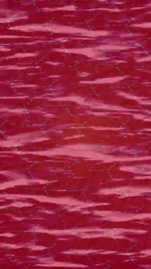 Yaratıcı video düzenleme film arkaplan tasarımı için minimalist organik hareket grafikleri