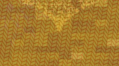 Yaratıcı video düzenleme film arkaplan tasarımı için minimalist organik hareket grafikleri