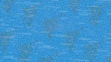 Profesyonel video projeleri sanat tarzı için organik hareketli arkaplan tasarımı