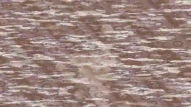 Benzersiz dijital animasyon tarzı grafikleri olan yaratıcı ortam tasarımı için yenilikçi hareket dokusu