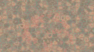 Organik desenli yüzey giriş stili video film sanatı ile soyut arkaplan tasarımı