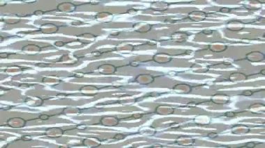 Yaratıcı video düzenleme film arkaplan tasarımı için minimalist organik hareket grafikleri