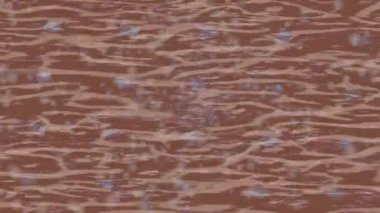 Yaratıcı video düzenleme film arkaplan tasarımı için minimalist organik hareket grafikleri