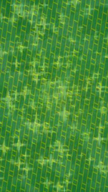 Lüks hareket tasarımı üst düzey video projeleri ve dijital sanat için zarif, pürüzsüz bir dokusu var.