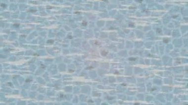 Modern medya üretimi için fütüristik dijital soyut doku sinematik tarz hareketli grafik ögesi