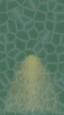 Yaratıcı video düzenleme film tasarımı için benzersiz hareket grafikleri biçimi giriş hareketi video pro