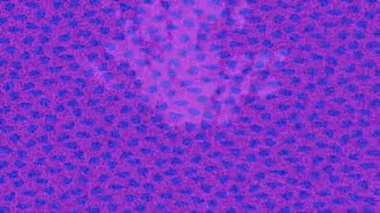 Estetik doku arkaplan tasarımı renkli hareket grafikleri ile moda film giriş profosyoneli