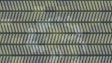 Profesyonel video projeleri sanat tarzı için organik hareketli arkaplan tasarımı