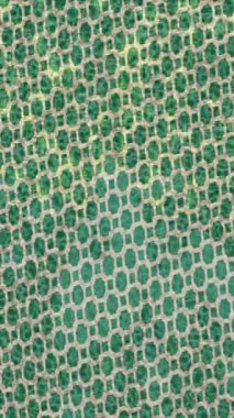 Profesyonel video projeleri sanat tarzı için organik hareketli arkaplan tasarımı