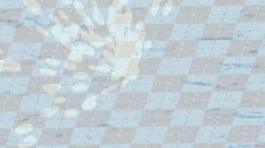 Benzersiz dijital hareket grafiklerine sahip yaratıcı sinematik projeler için yumuşak animasyon yüzeyi