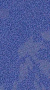 Soyut hareket desenli fütüristik video üretimi için dinamik dijital arkaplan