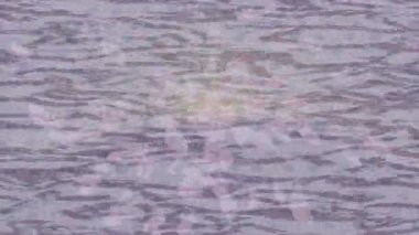 Yaratıcı video düzenleme film tasarımı için benzersiz hareket grafikleri biçimi giriş hareketi video pro