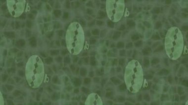 Benzersiz dijital hareket grafiklerine sahip yaratıcı sinematik projeler için yumuşak animasyon yüzeyi