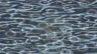 Lüks hareket projeleri için soyut tasarım stili animasyonu olan üst düzey dijital doku