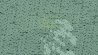 Soyut hareket desenli fütüristik video üretimi için dinamik dijital arkaplan