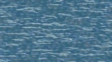 Estetik doku arkaplan tasarımı renkli hareket grafikleri ile moda film giriş profosyoneli