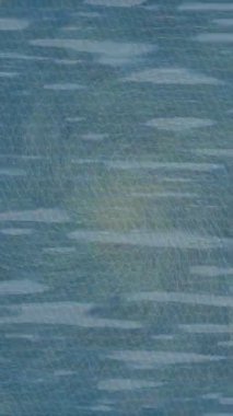 Profesyonel video projeleri sanat tarzı için organik hareketli arkaplan tasarımı