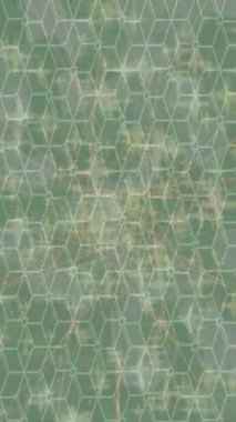 Lüks hareket tasarımı üst düzey video projeleri ve dijital sanat için zarif, pürüzsüz bir dokusu var.