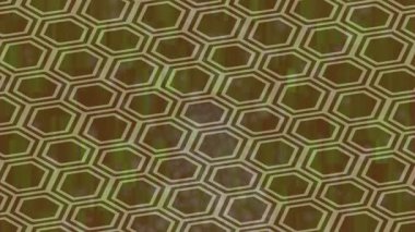 Profesyonel video projeleri sanat tarzı için organik hareketli arkaplan tasarımı