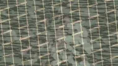 Yaratıcı video düzenleme film arkaplan tasarımı için minimalist organik hareket grafikleri