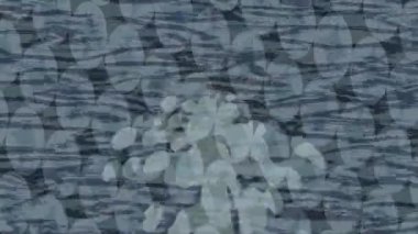 Benzersiz video giriş tasarımı projeleri için detaylı yüzey kalıbı film animasyon stili grafik girişi