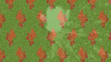 Benzersiz dijital hareket grafiklerine sahip yaratıcı sinematik projeler için yumuşak animasyon yüzeyi