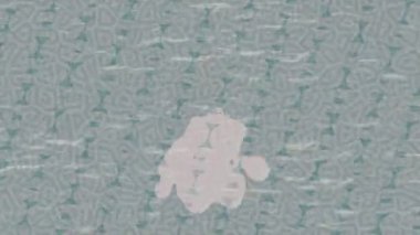 Benzersiz hareket dokusu tasarım sanatı ile profesyonel video düzenleme için modern soyut grafikler