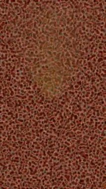 Dijital doku yüzey tasarım biçimi ile modern video animasyonu için gelişmiş hareket grafikleri