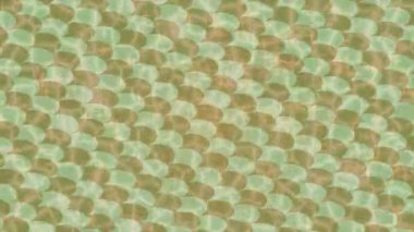 Benzersiz dijital animasyon tarzı grafikleri olan yaratıcı ortam tasarımı için yenilikçi hareket dokusu