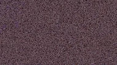 Benzersiz dijital hareket grafiklerine sahip yaratıcı sinematik projeler için yumuşak animasyon yüzeyi