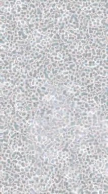 Profesyonel video projeleri sanat tarzı için organik hareketli arkaplan tasarımı