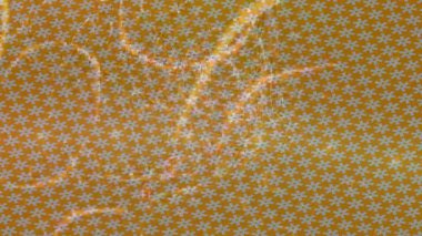 Lüks hareket tasarımı üst düzey video projeleri ve dijital sanat için zarif, pürüzsüz bir dokusu var.