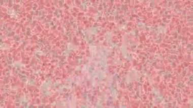 Lüks hareket tasarımı üst düzey video projeleri ve dijital sanat için zarif, pürüzsüz bir dokusu var.